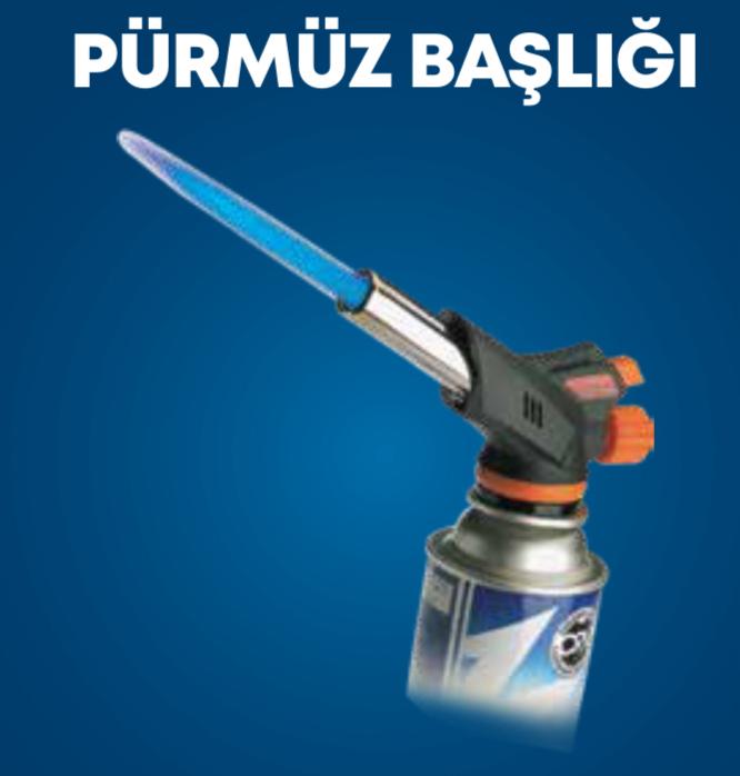 PÜRMÜZ BAŞLIĞI